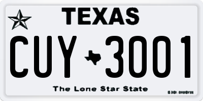 TX license plate CUY3001