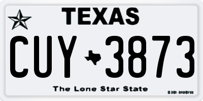 TX license plate CUY3873