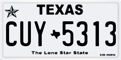 TX license plate CUY5313