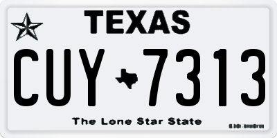 TX license plate CUY7313
