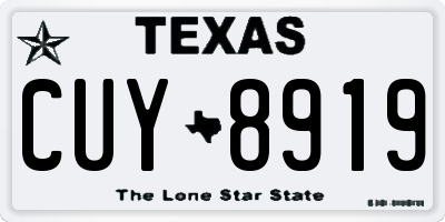 TX license plate CUY8919