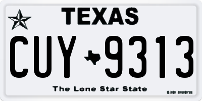 TX license plate CUY9313
