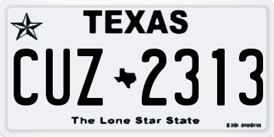 TX license plate CUZ2313