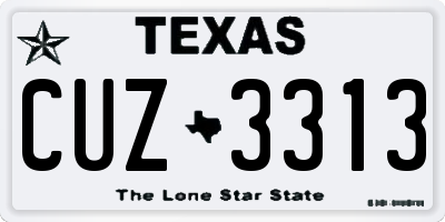TX license plate CUZ3313