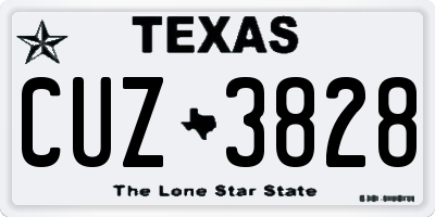 TX license plate CUZ3828