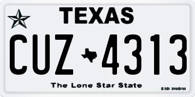 TX license plate CUZ4313