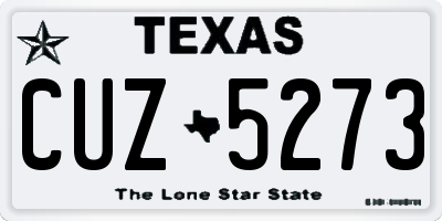 TX license plate CUZ5273