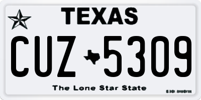 TX license plate CUZ5309