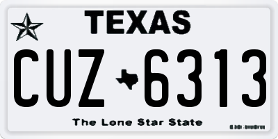 TX license plate CUZ6313
