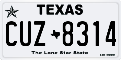 TX license plate CUZ8314