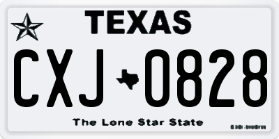 TX license plate CXJ0828