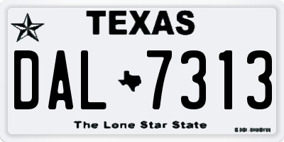 TX license plate DAL7313