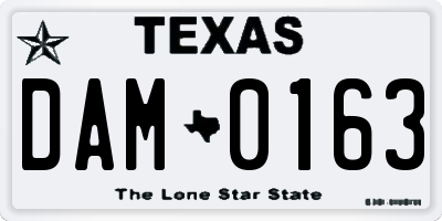 TX license plate DAM0163