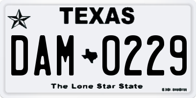 TX license plate DAM0229