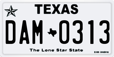 TX license plate DAM0313