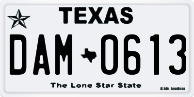 TX license plate DAM0613