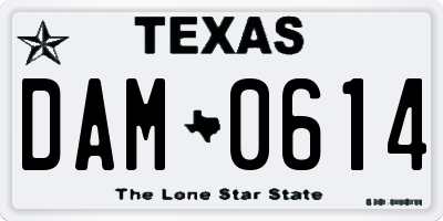 TX license plate DAM0614
