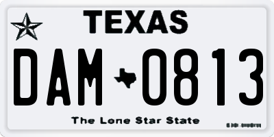 TX license plate DAM0813