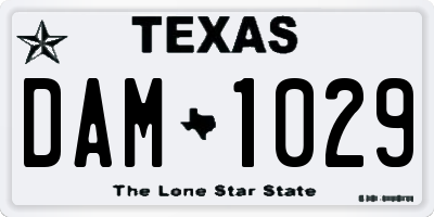 TX license plate DAM1029