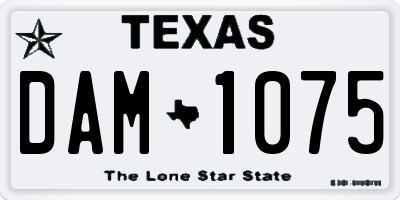 TX license plate DAM1075