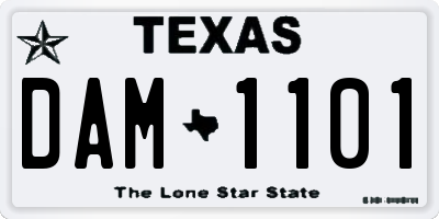 TX license plate DAM1101