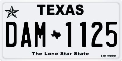 TX license plate DAM1125