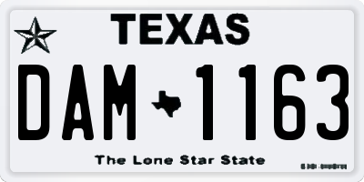 TX license plate DAM1163