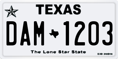 TX license plate DAM1203