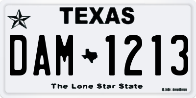 TX license plate DAM1213