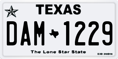 TX license plate DAM1229