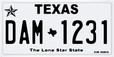 TX license plate DAM1231