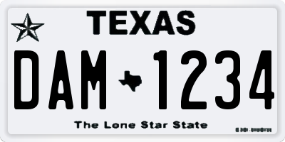 TX license plate DAM1234