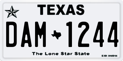 TX license plate DAM1244