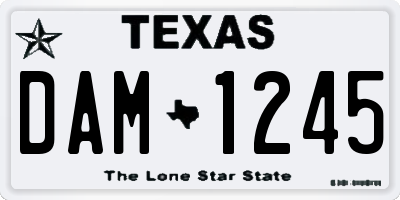 TX license plate DAM1245