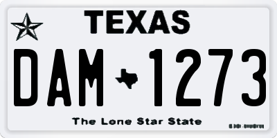 TX license plate DAM1273
