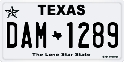 TX license plate DAM1289