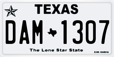 TX license plate DAM1307