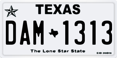 TX license plate DAM1313
