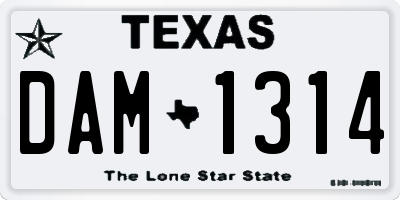 TX license plate DAM1314