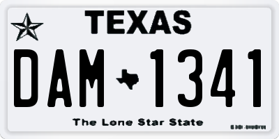 TX license plate DAM1341