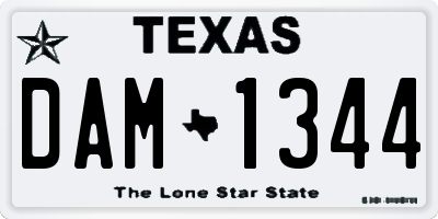 TX license plate DAM1344
