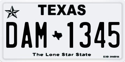 TX license plate DAM1345