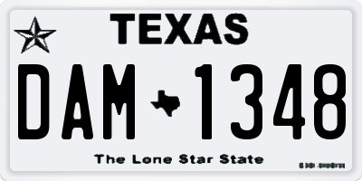 TX license plate DAM1348
