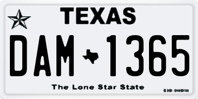 TX license plate DAM1365