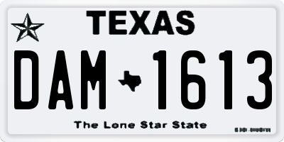 TX license plate DAM1613