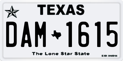 TX license plate DAM1615