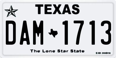 TX license plate DAM1713