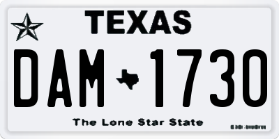 TX license plate DAM1730