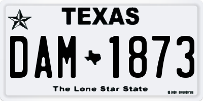 TX license plate DAM1873