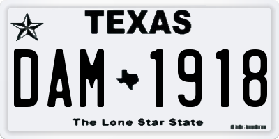 TX license plate DAM1918